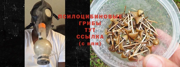 молекула духа Алексеевка