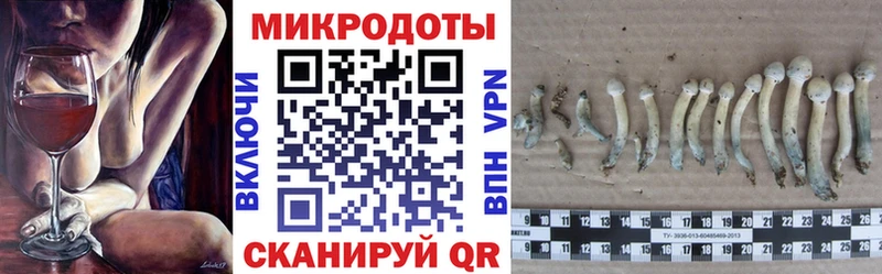 Галлюциногенные грибы Magic Shrooms Новотроицк